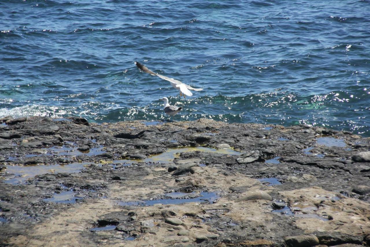Seagull Estudios Pozo Izquierdo Exterior foto